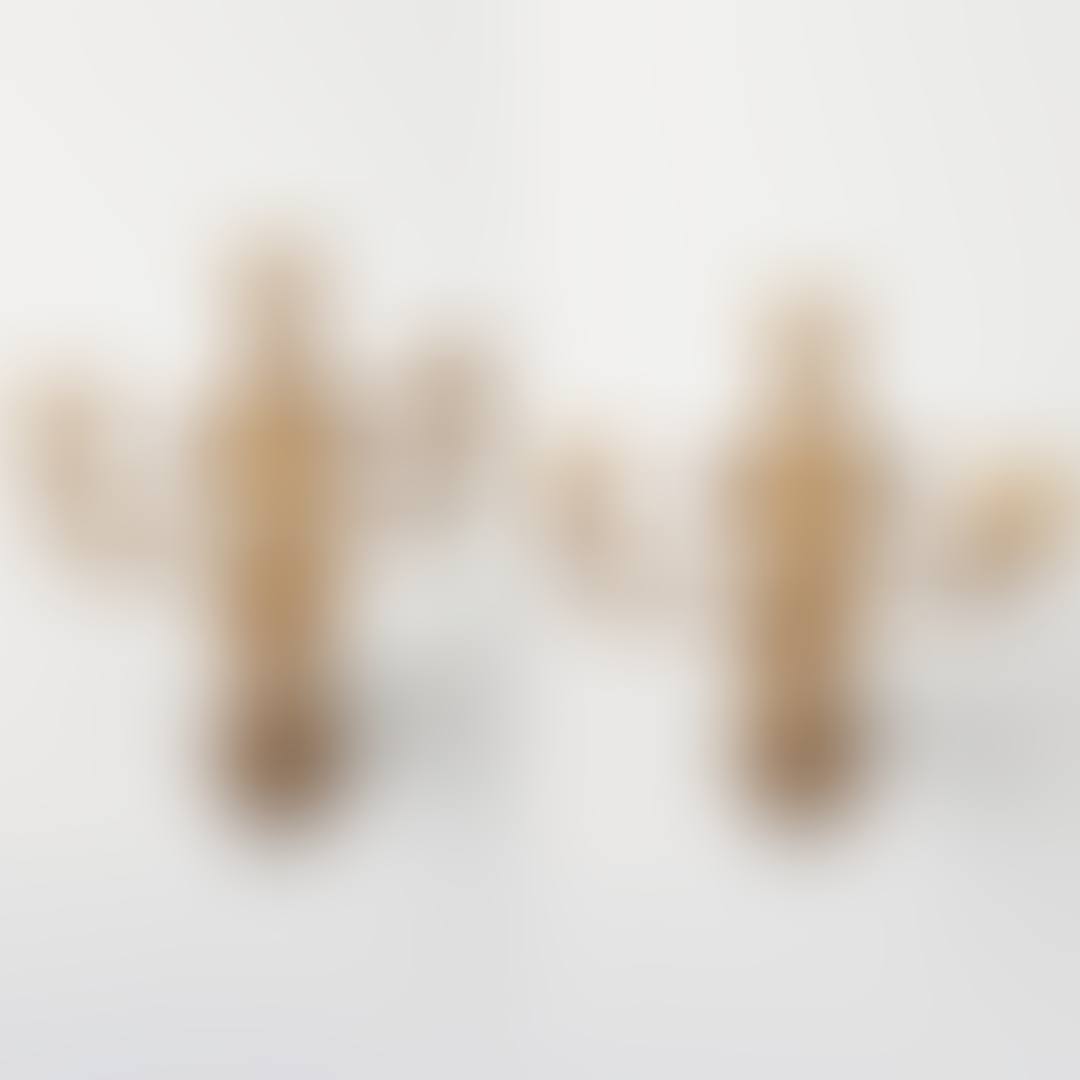 WALL APPLIQUES (preview)