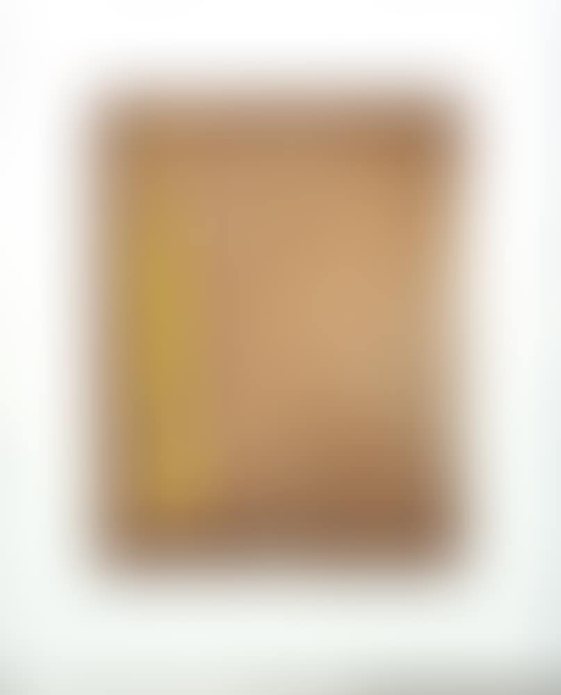 "Figure I" (preview)