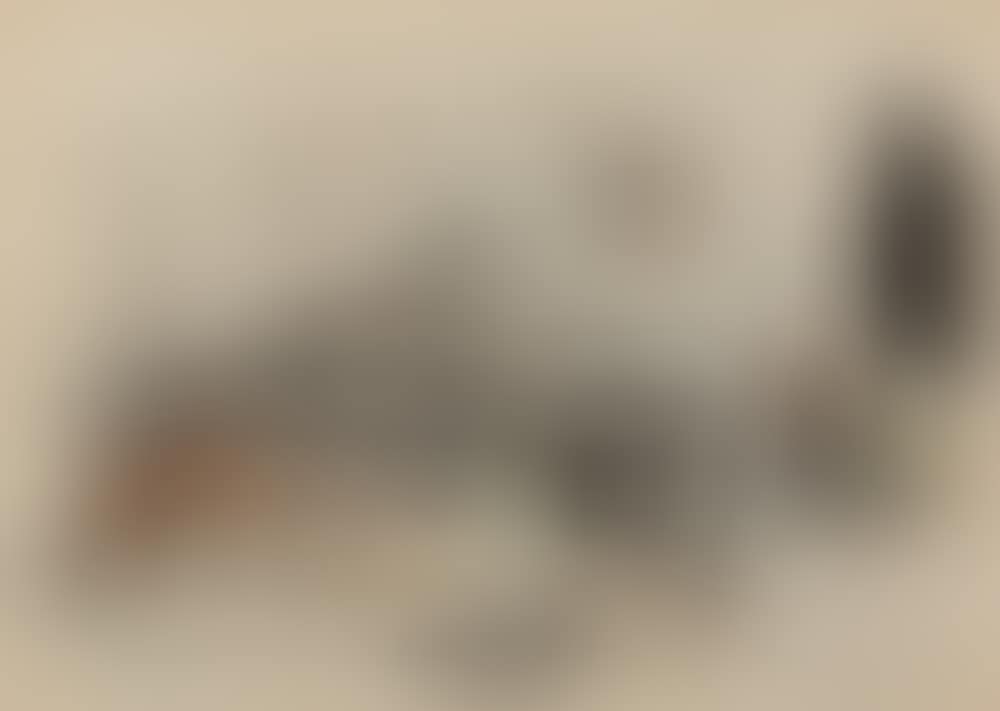 "River Smith" (preview)