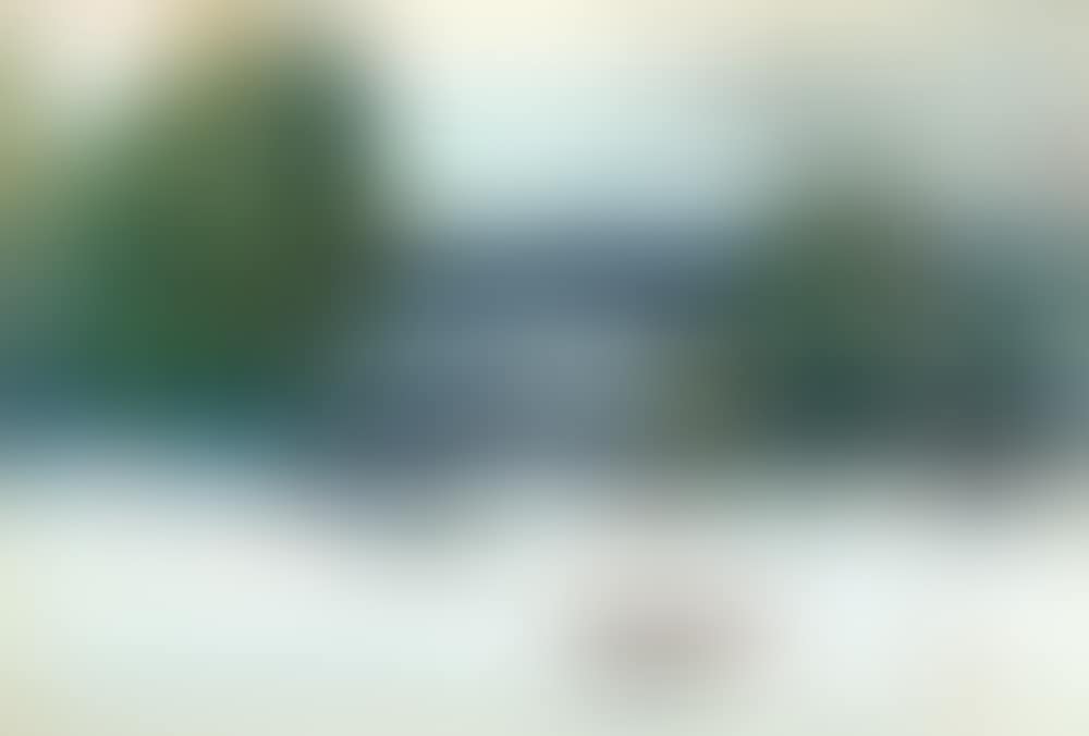 Winter Landscape (preview)