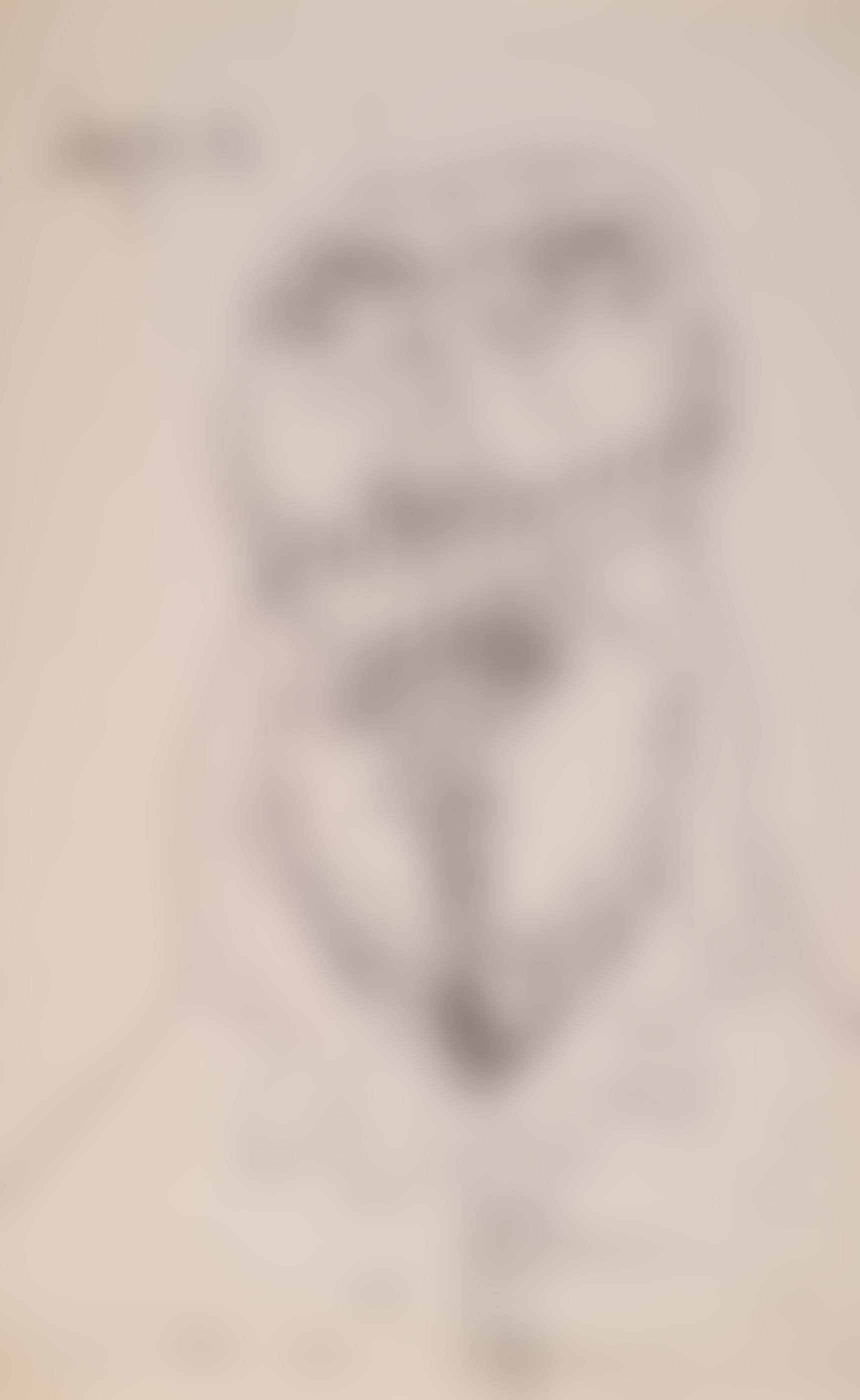 Untitled (Head of a Pope) (preview)