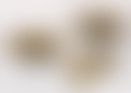 Untitled (Gober Ganesh) (preview)