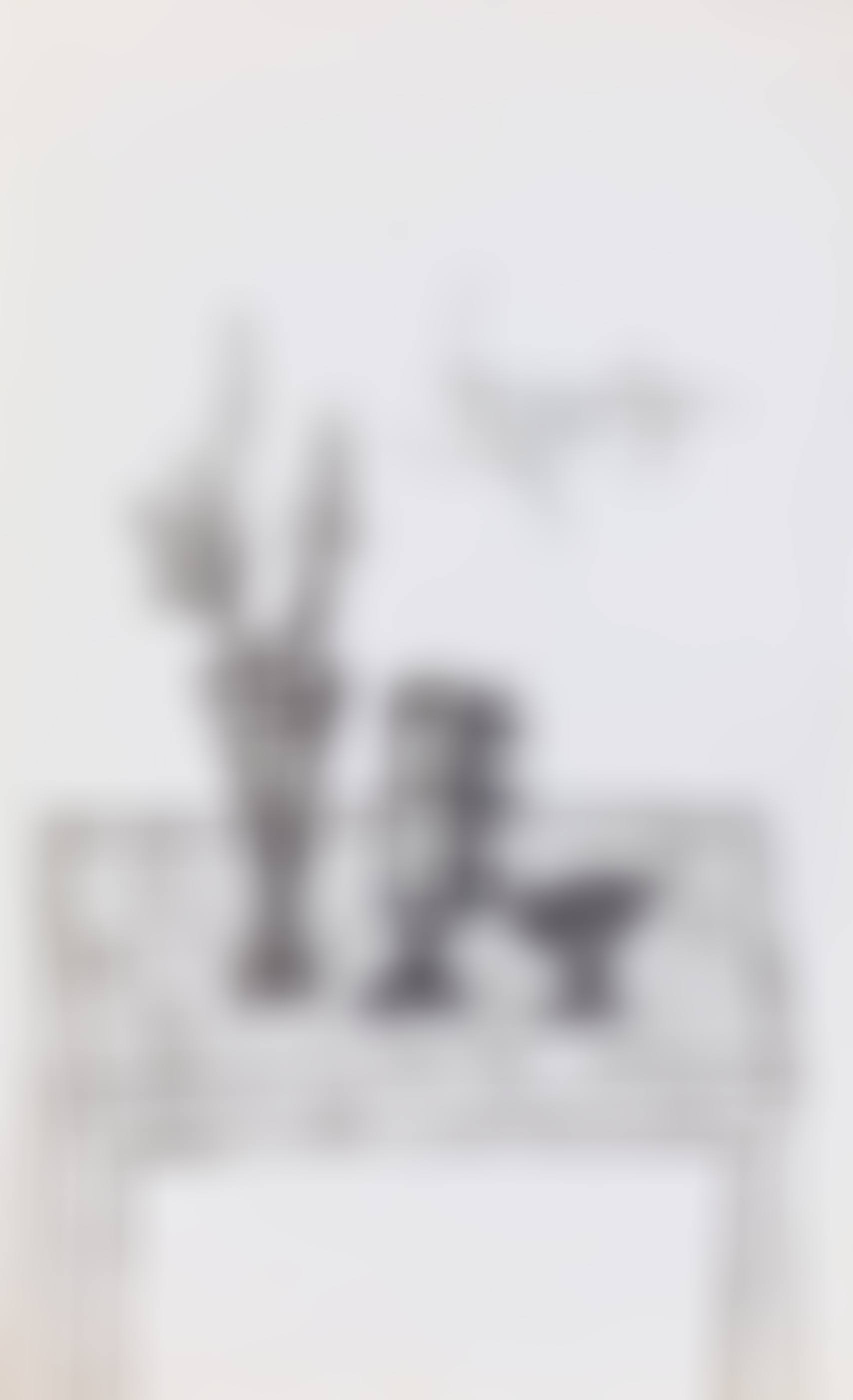 Untitled (Still Life with Table) (preview)