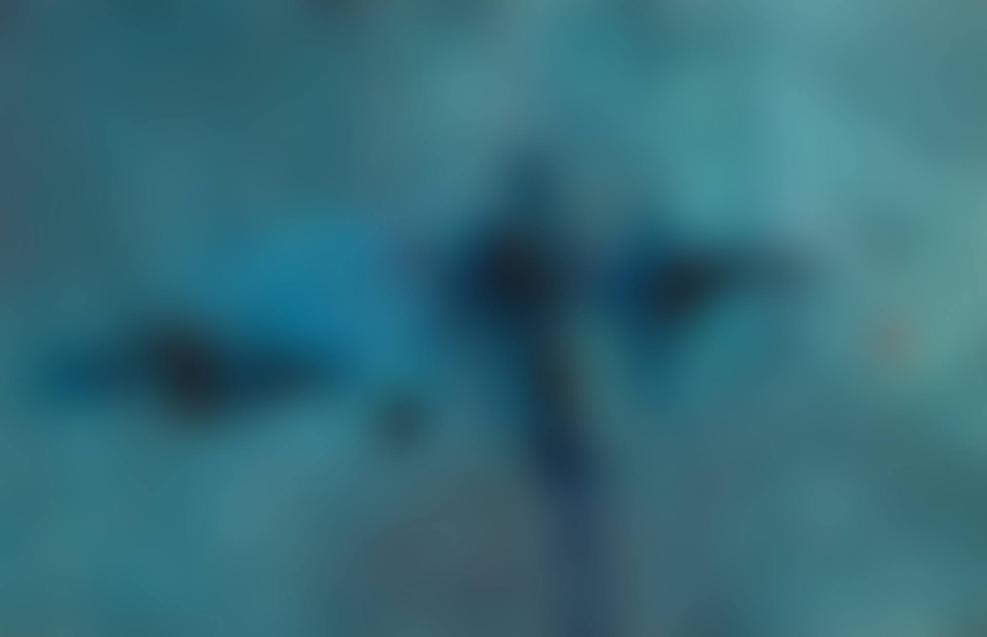 Untitled (preview)