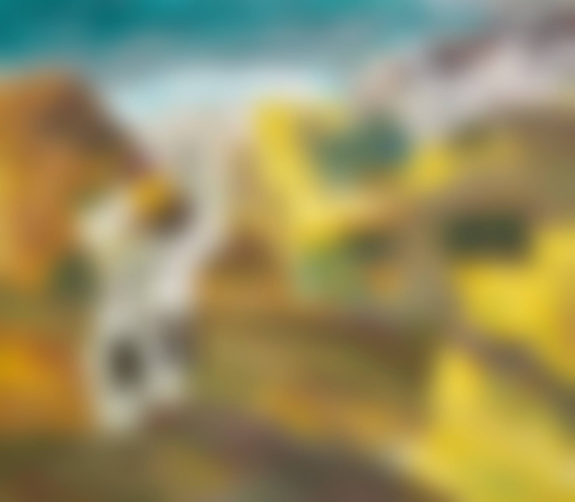 Untitled (preview)