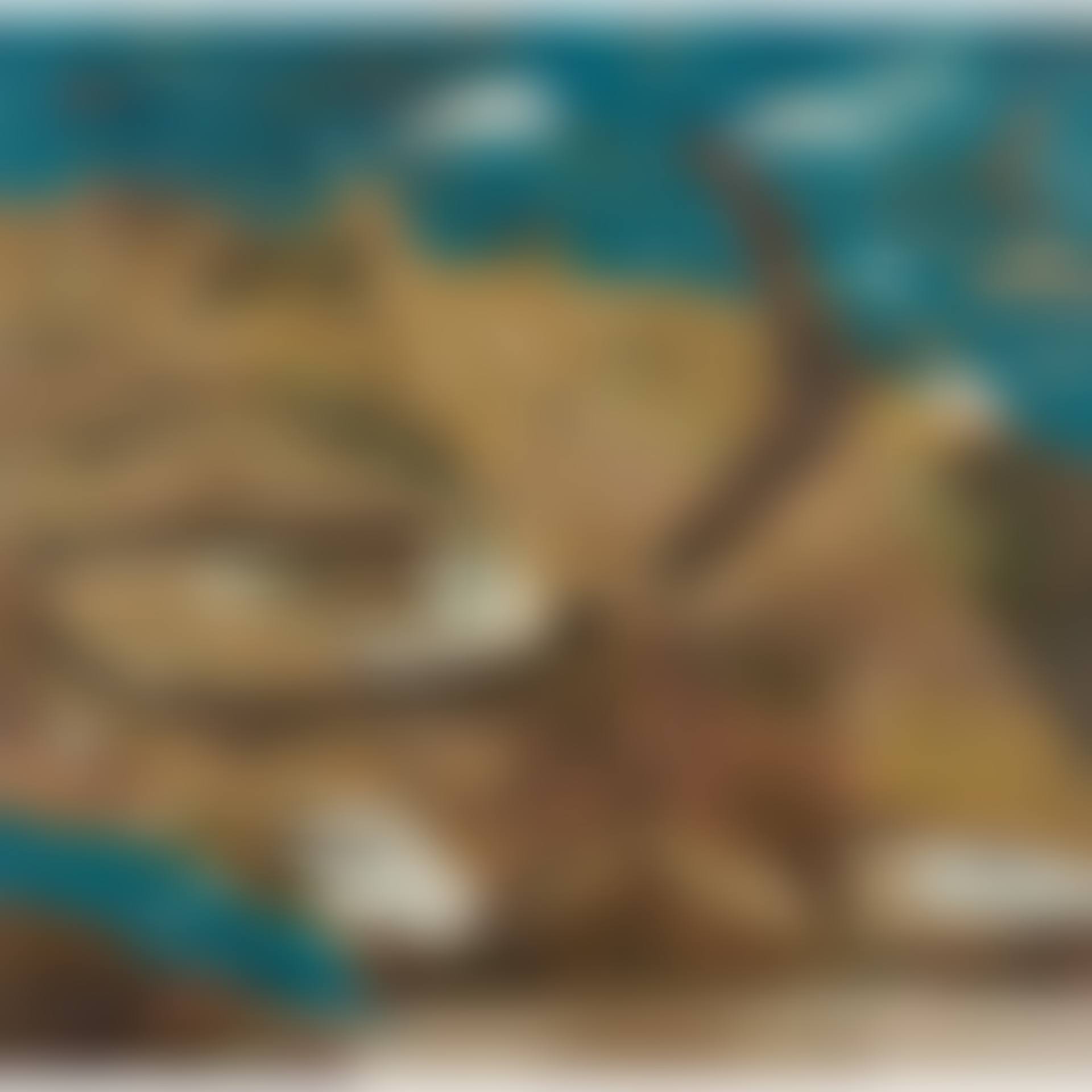 Untitled (preview)