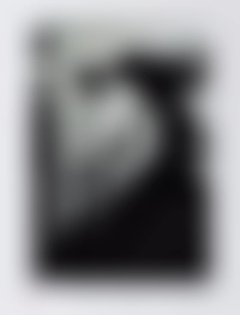 Self portrait (preview)