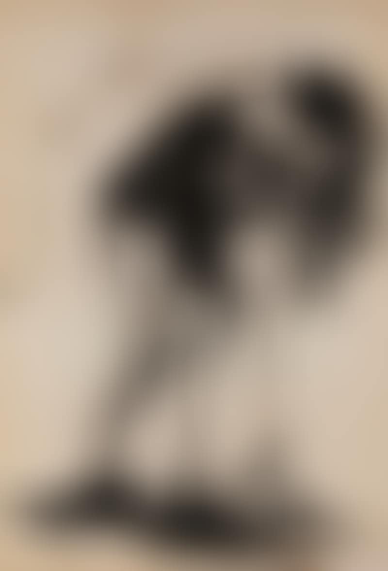 Disegno (preview)