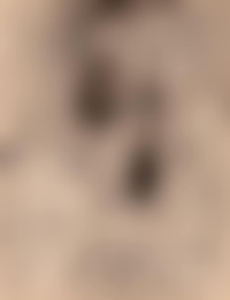 Recto Femme portant un oiseau / Verso photo de l"Artiste collè au center du dessin de 4 femmes (preview)