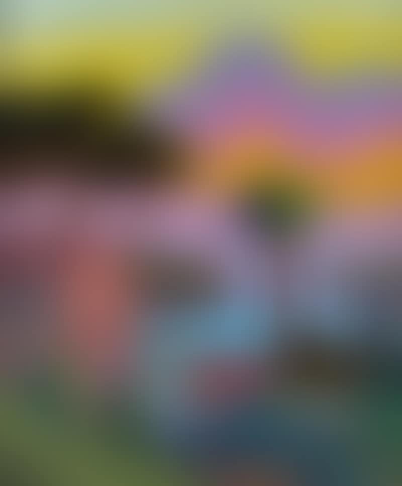 Una sera (preview)