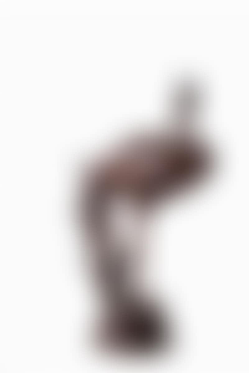 Wooden stork (preview)