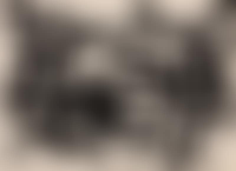 Untitled (preview)