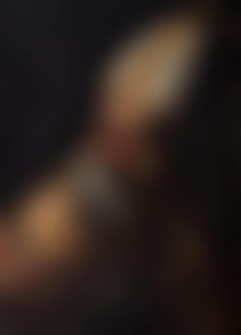 Saint Bishop (preview)