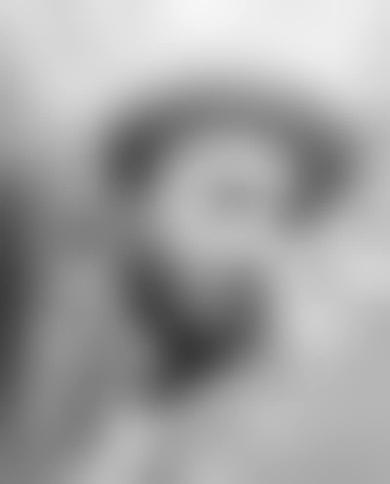 Fidel Castro, Palacio de la Revolucion (preview)