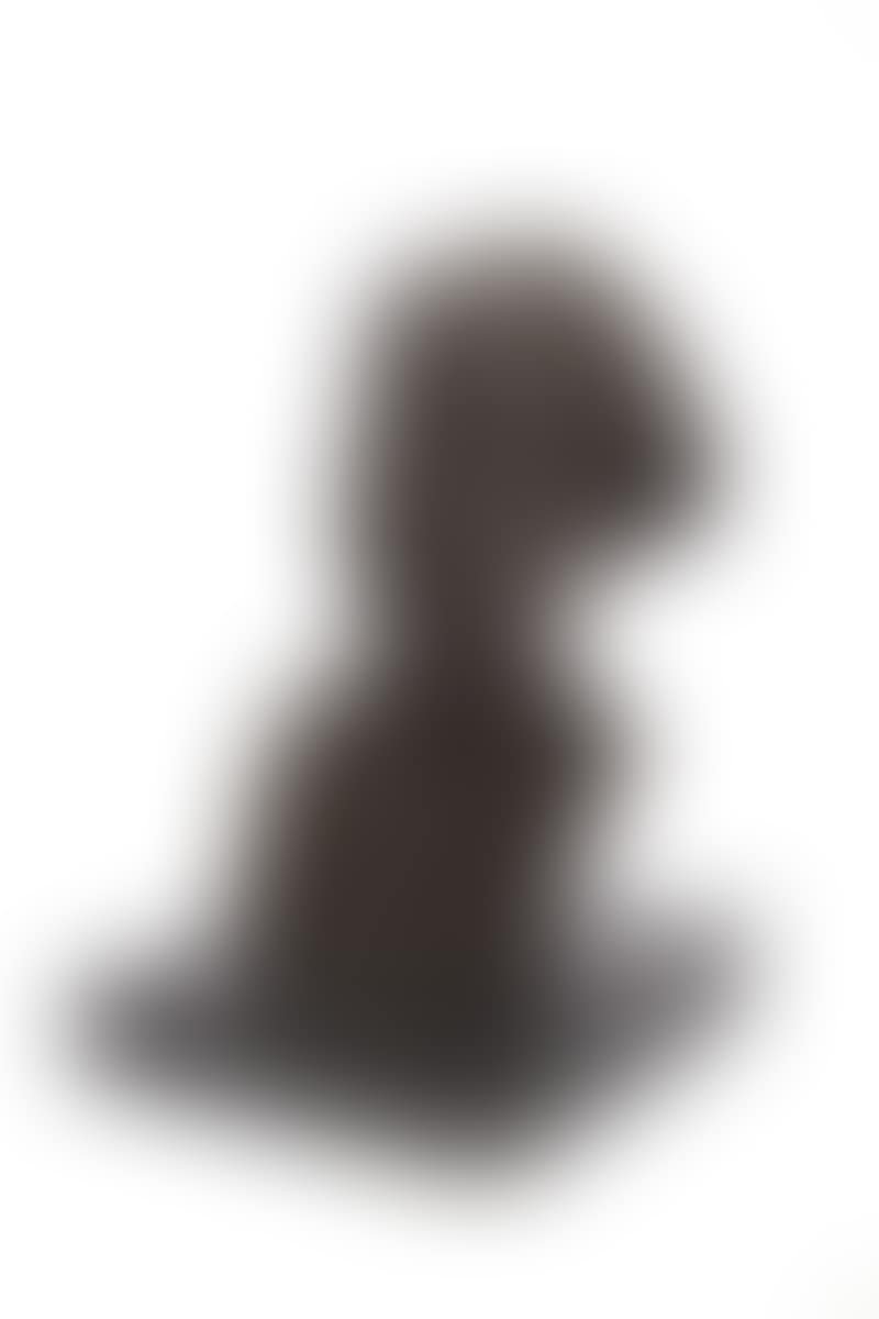 Small bronze sculpture depicting the bust of a fisherman (preview)
