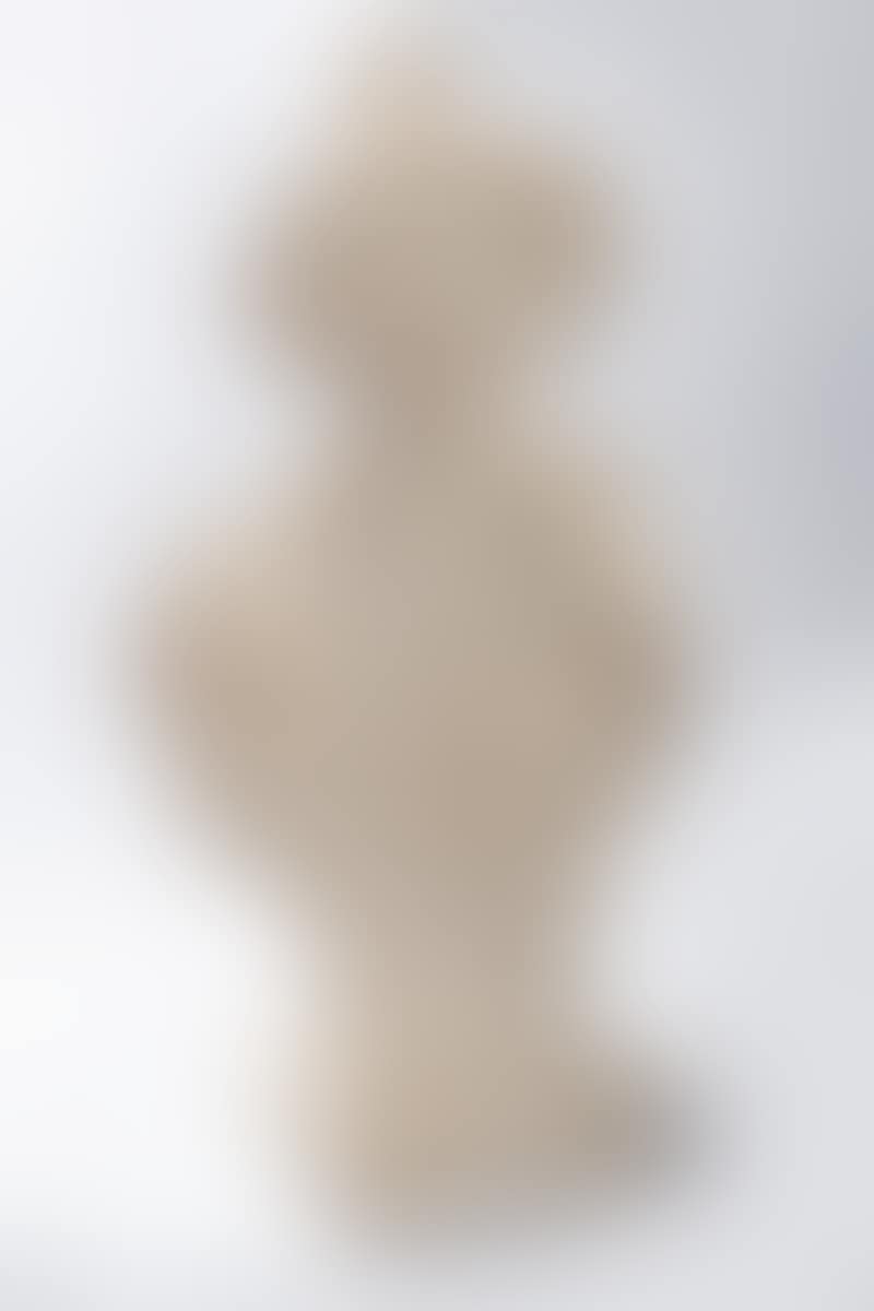 Marble sculpture depicting the bust of a young woman (preview)