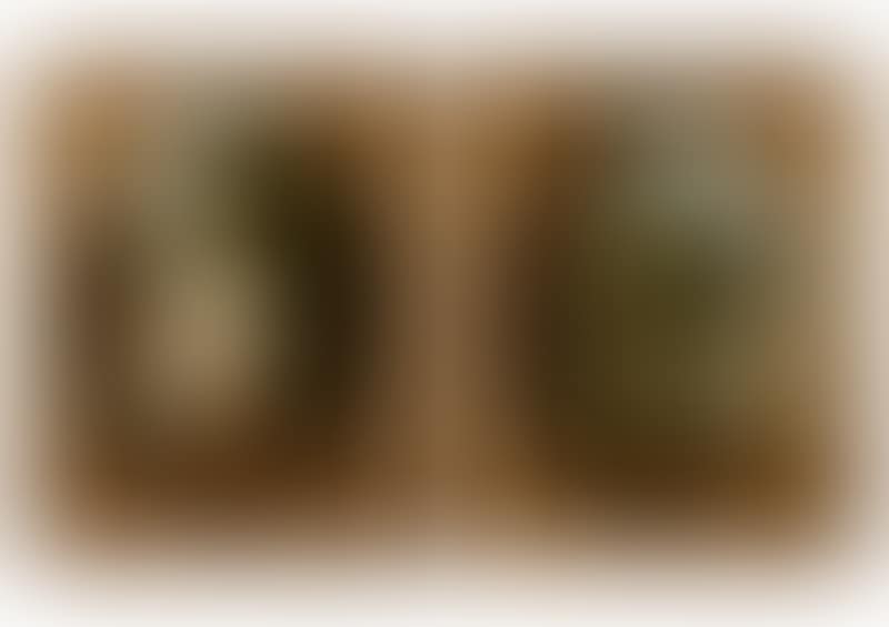 Two landscapes with wayfarers (preview)
