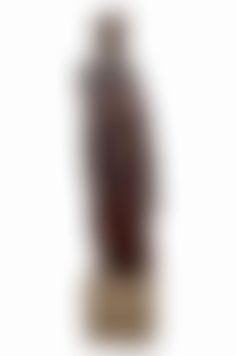 Polychrome wooden sculpture depicting a saint (preview)