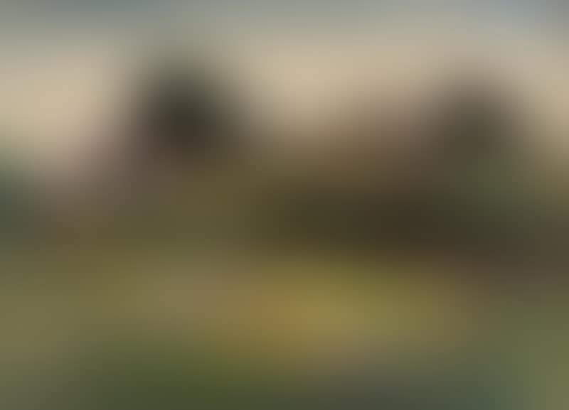 Paesaggio (preview)