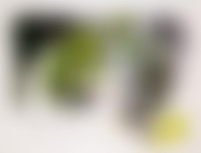 Leaves in the bottle (preview)