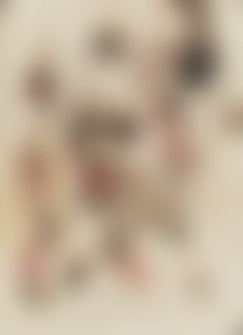 Concentrico (preview)