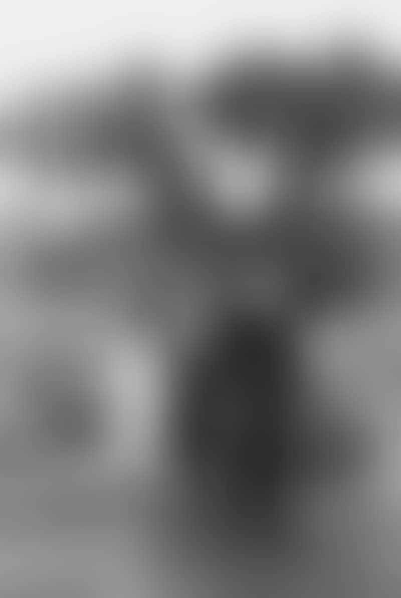 Liberation, Paris (preview)