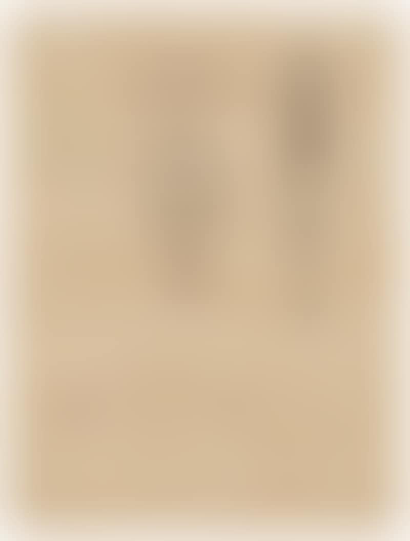 Figure (preview)