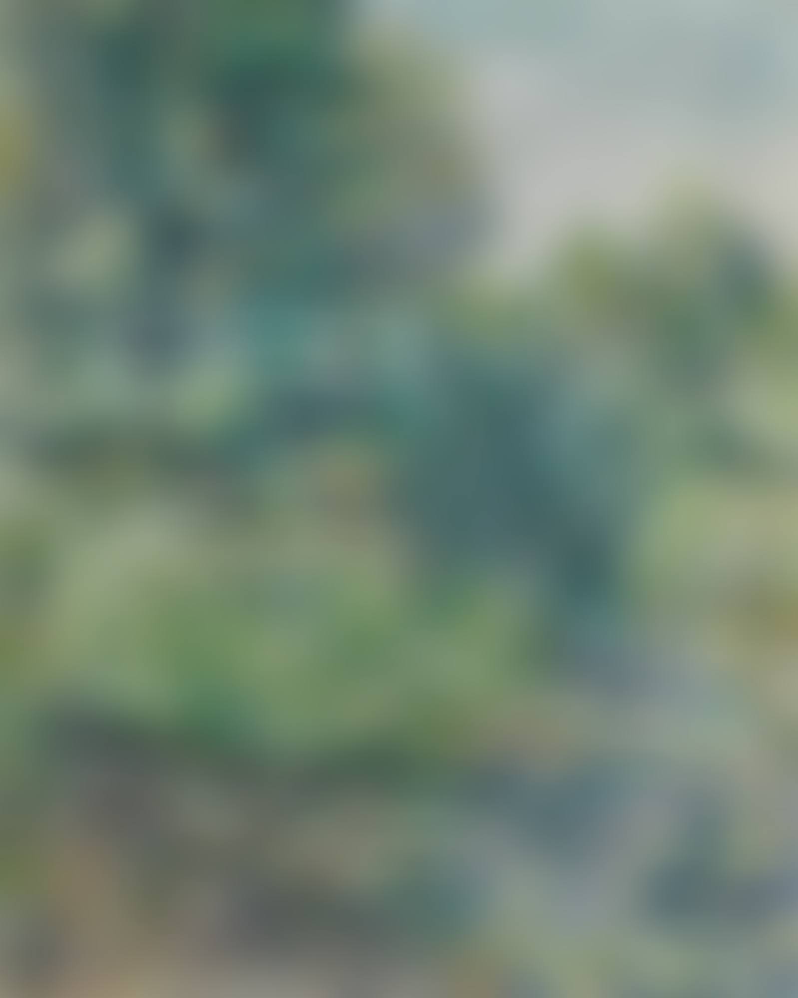 Le Jardin de Monet a Giverny (preview)
