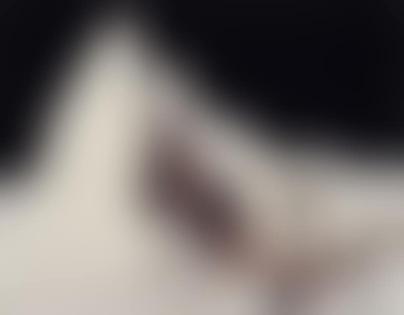 From the series "La Morgue" (preview)