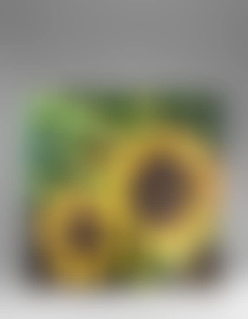 Girasoli (preview)