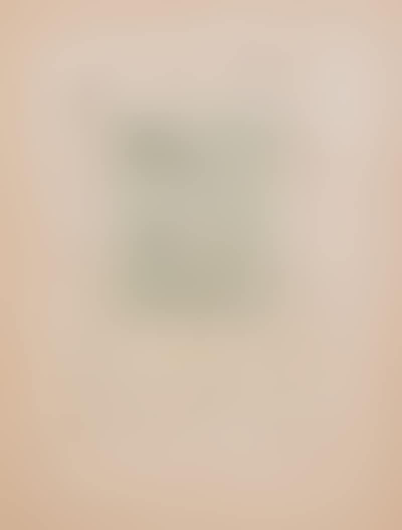 Oiseau (preview)