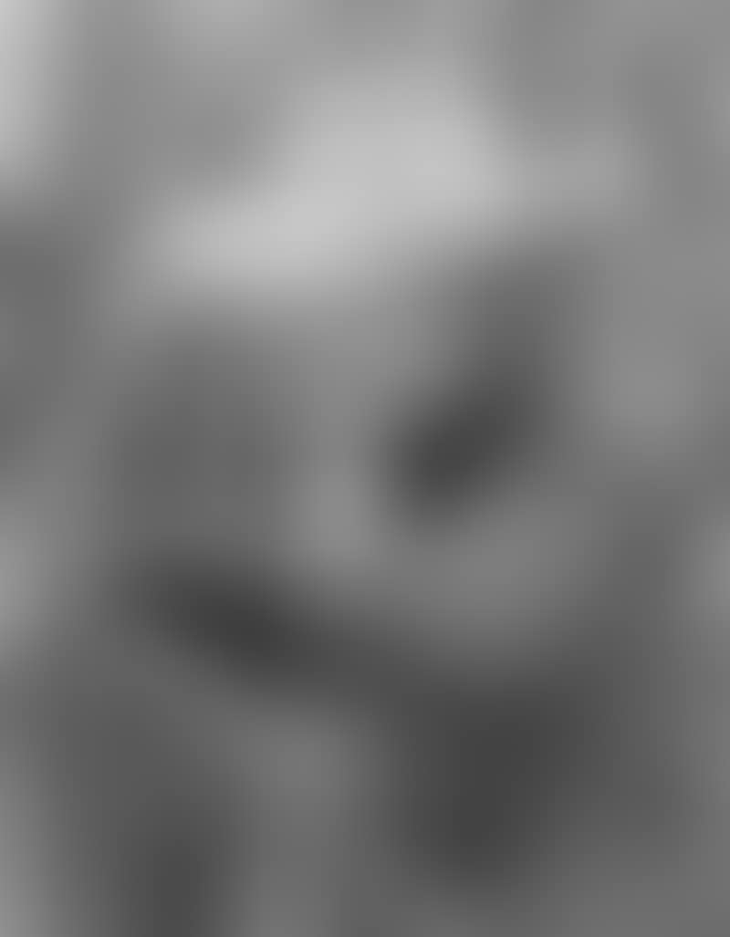 Fidel Castro. Corte de Cana (preview)