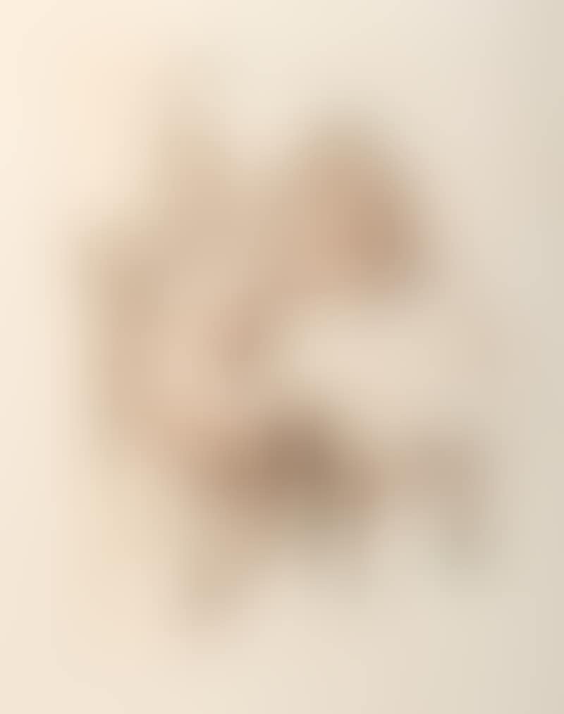 Figure (preview)