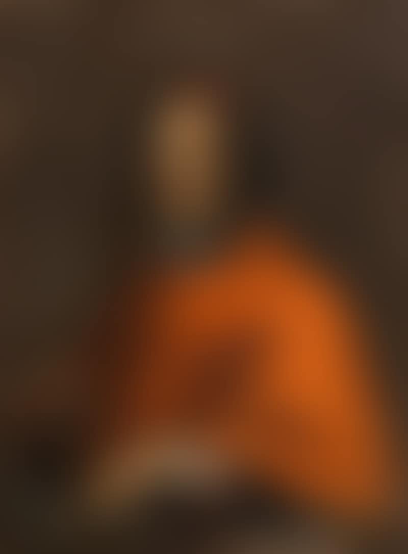 Portrait of a cardinal (preview)