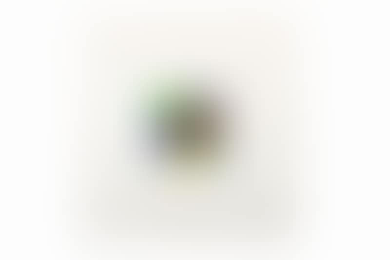 Millenovecentosettantotto (preview)