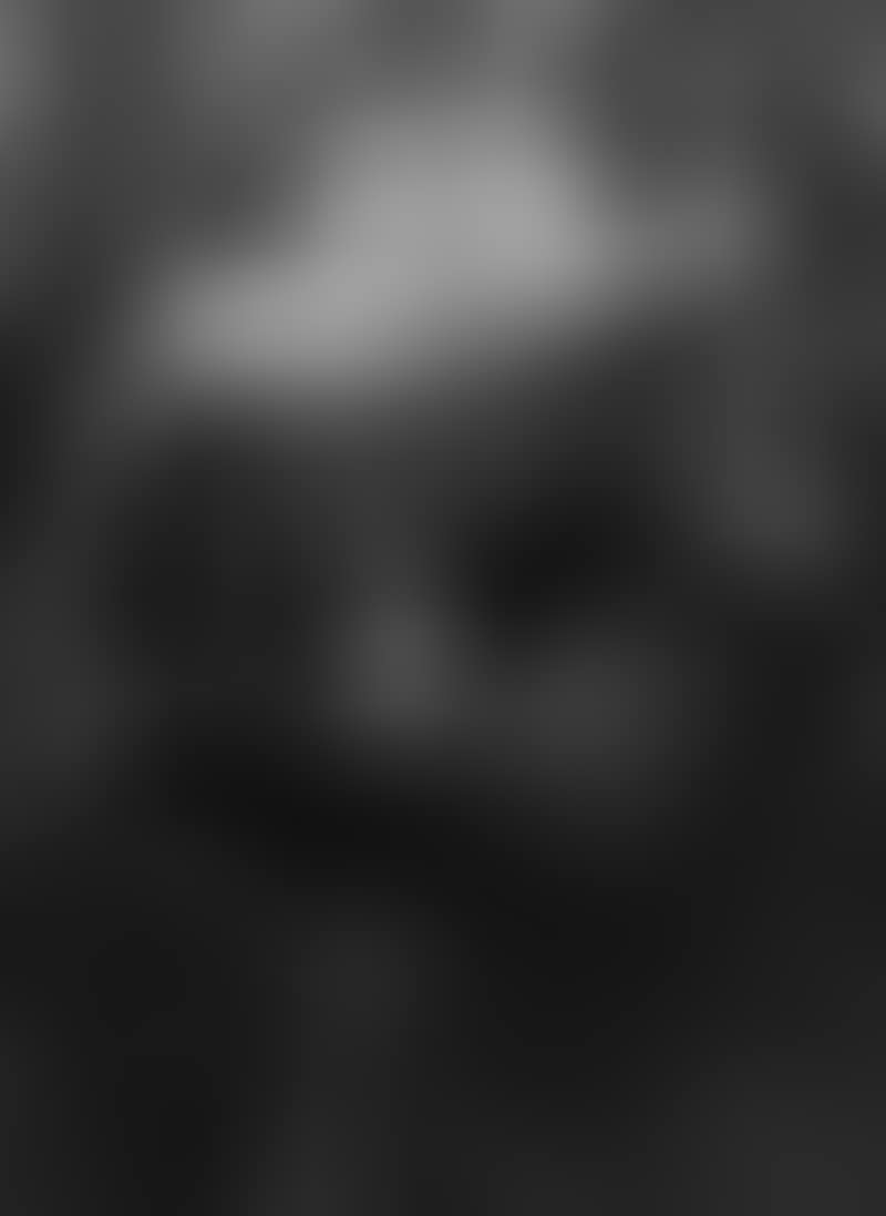 Fidel Castro, Corte Cana (preview)