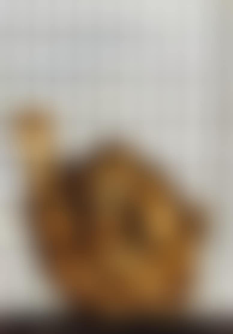 Without title (preview)
