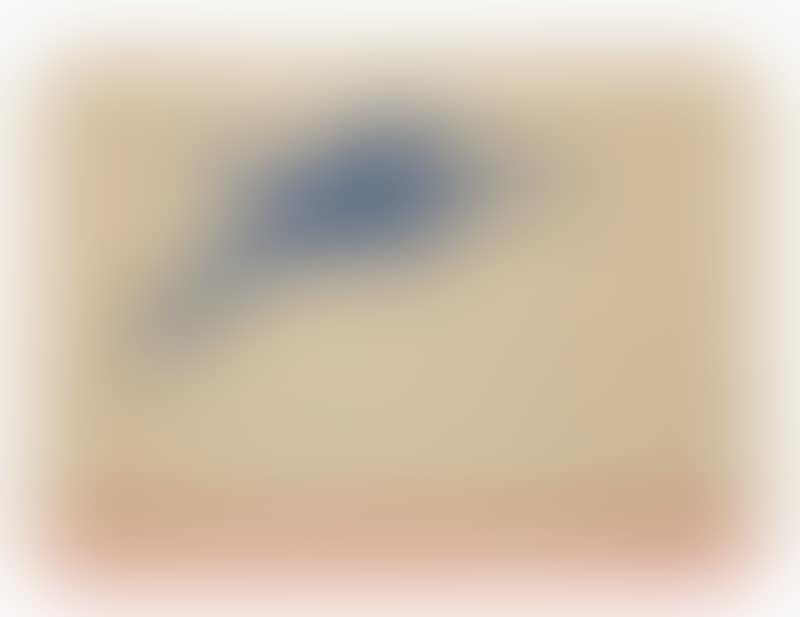 Volante blu (preview)