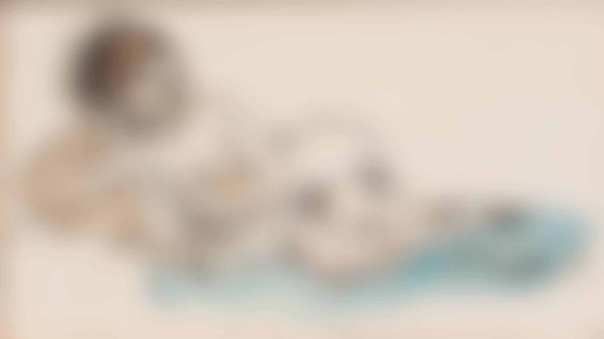 ATHENE (preview)