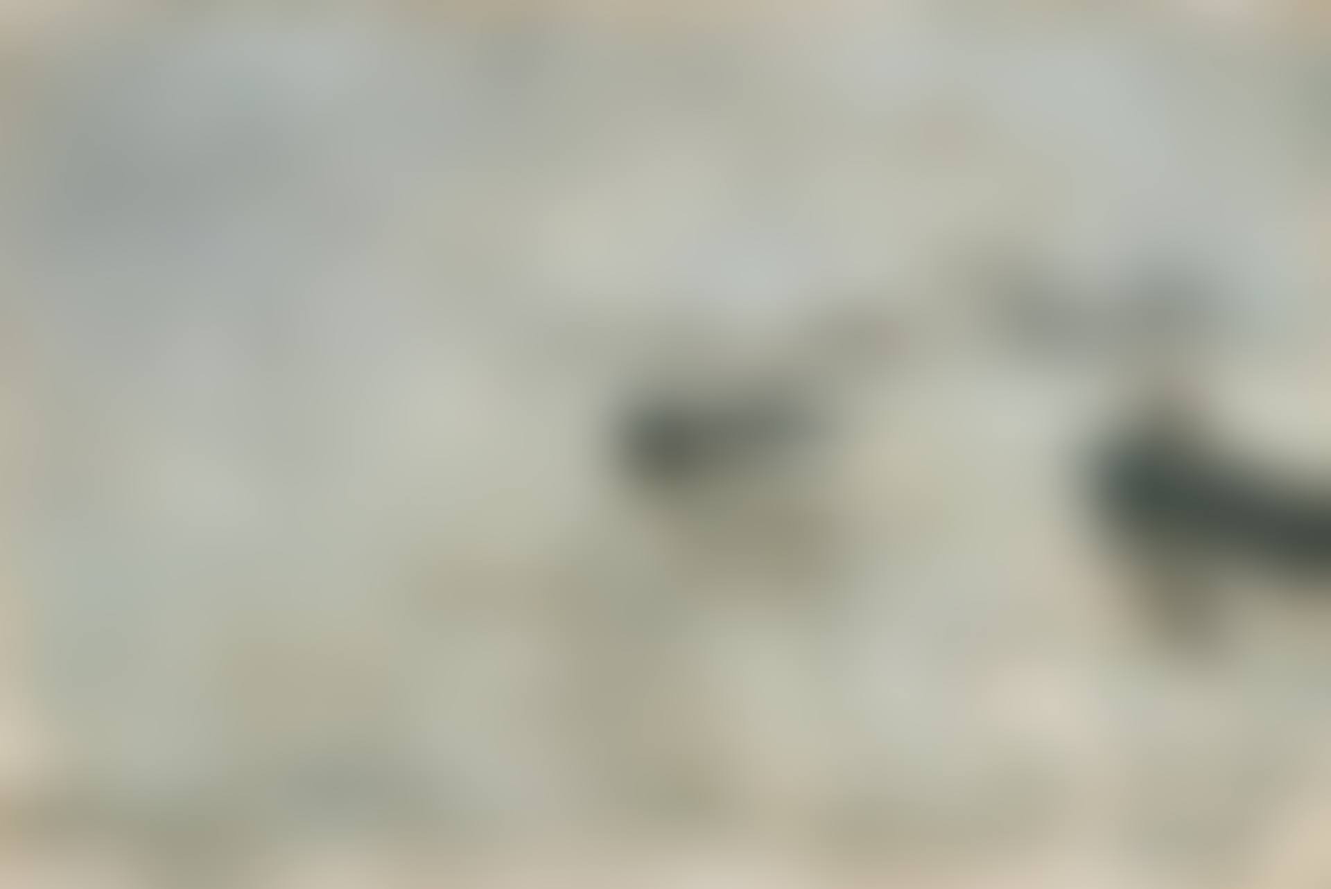 Pier with steamer (Ostend) (preview)
