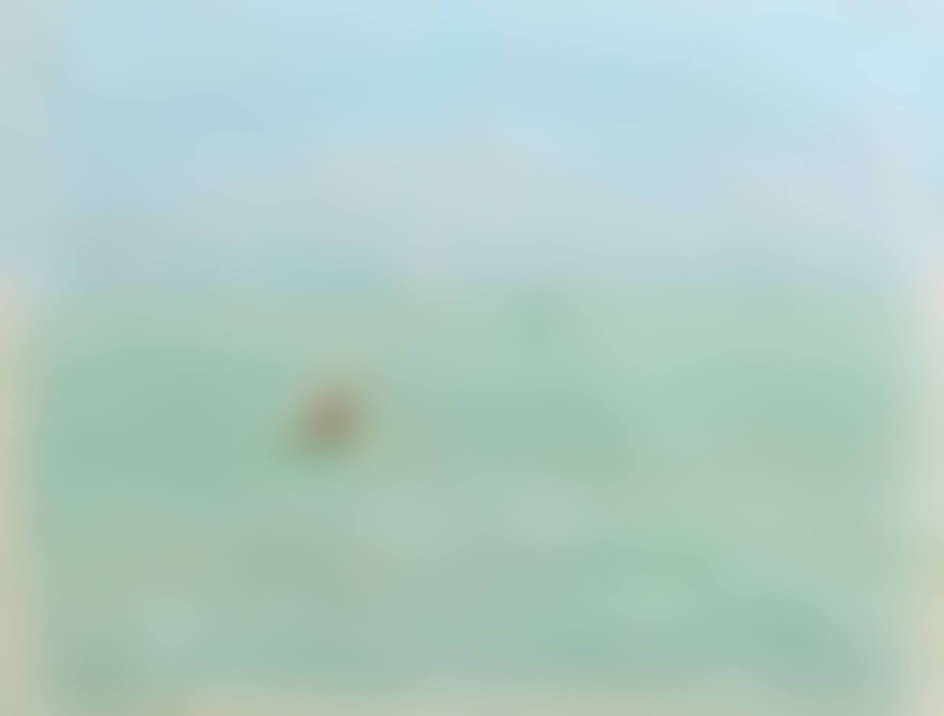 Green and turquoise seascape with fishing boats (preview)