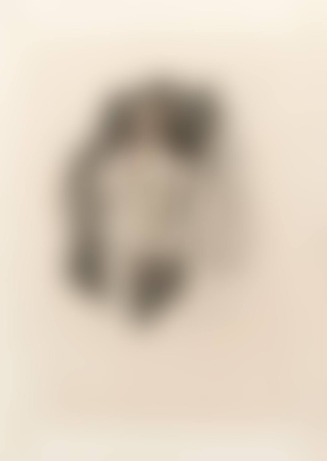Impudence (preview)