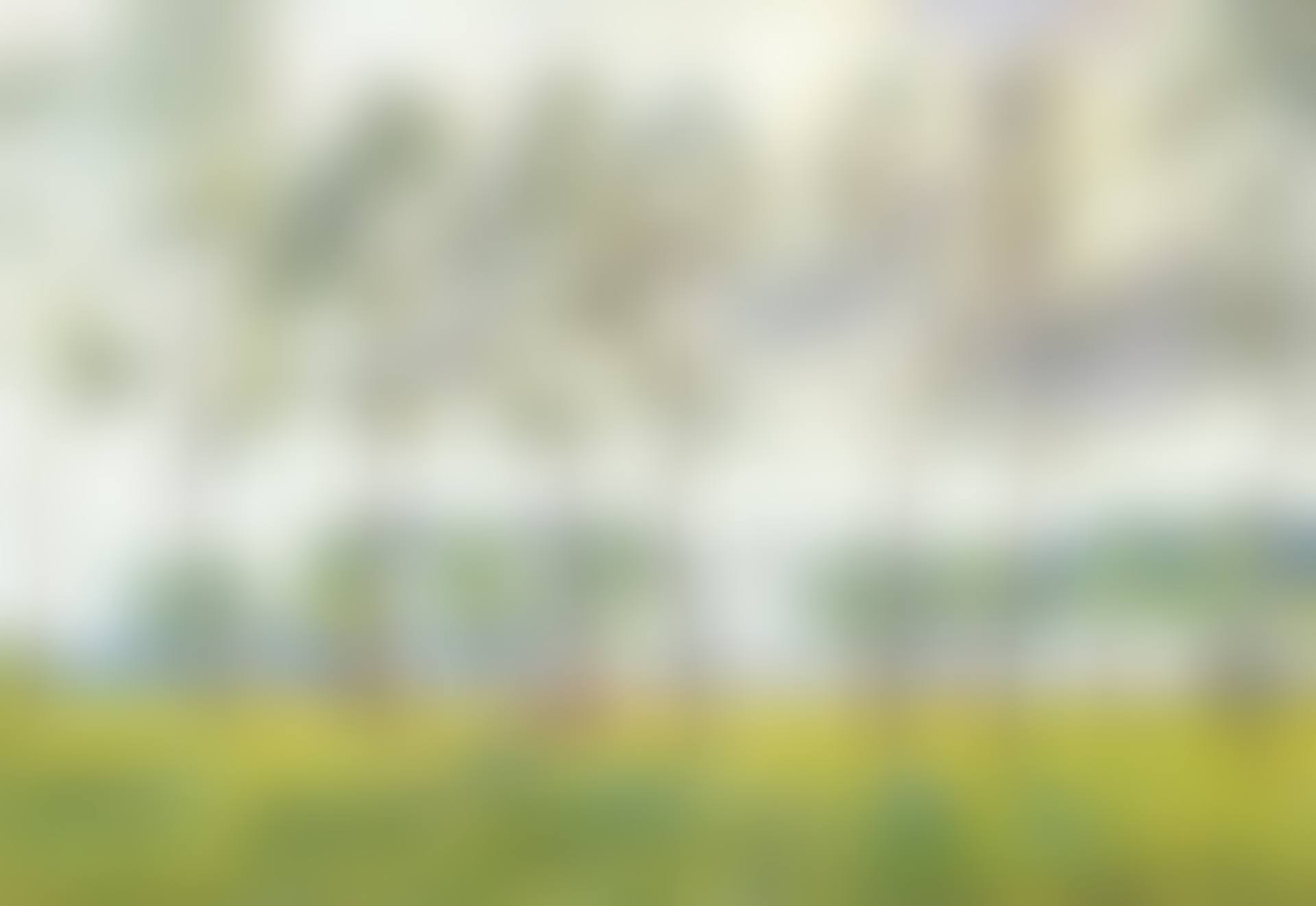 Cows in the meadow (preview)