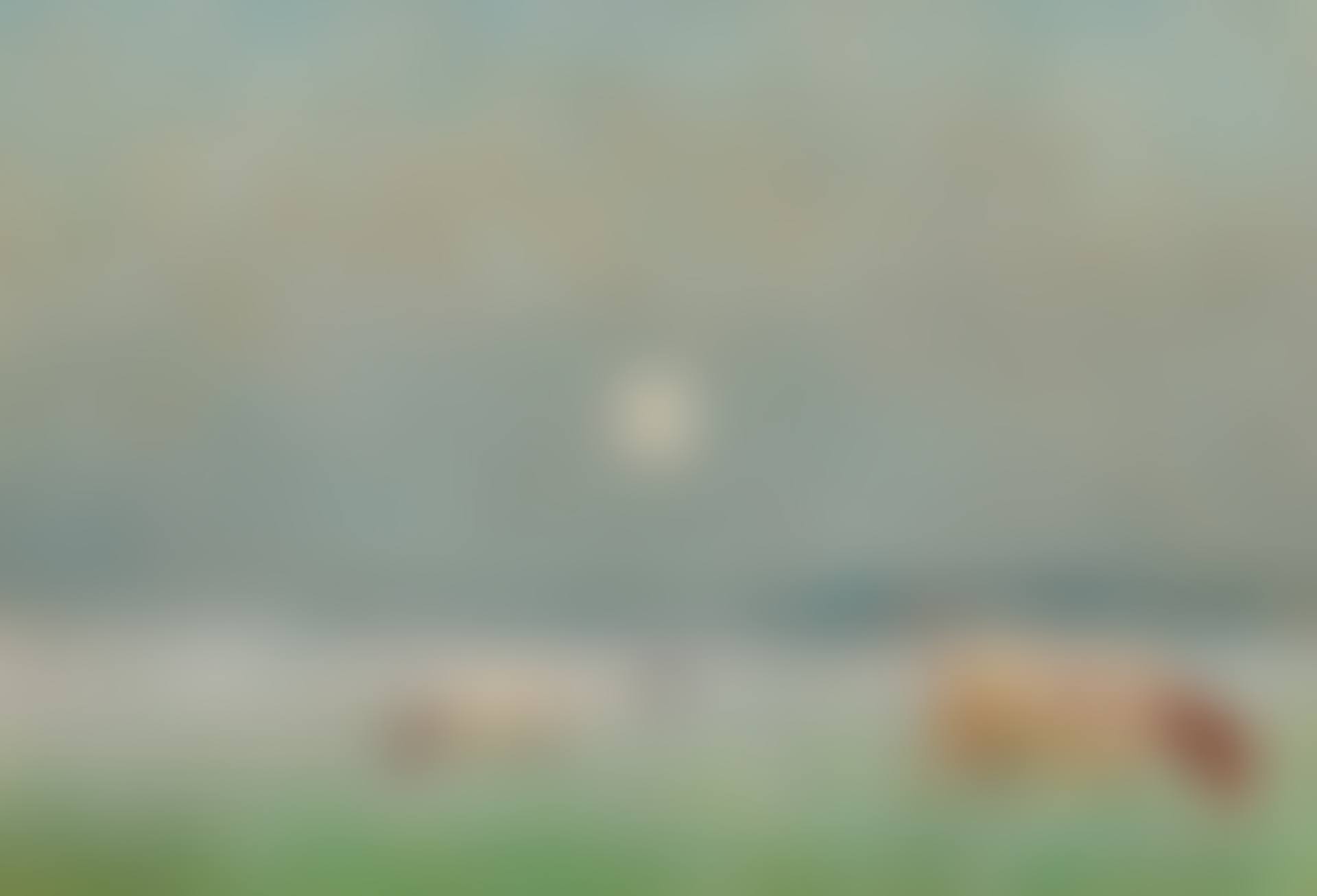 Fog and moonlight upon the fields (preview)