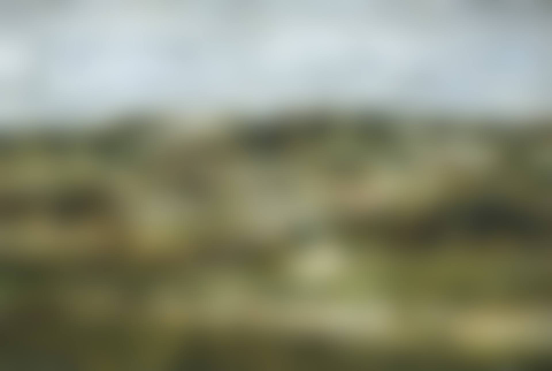 Dunes (1880) (preview)