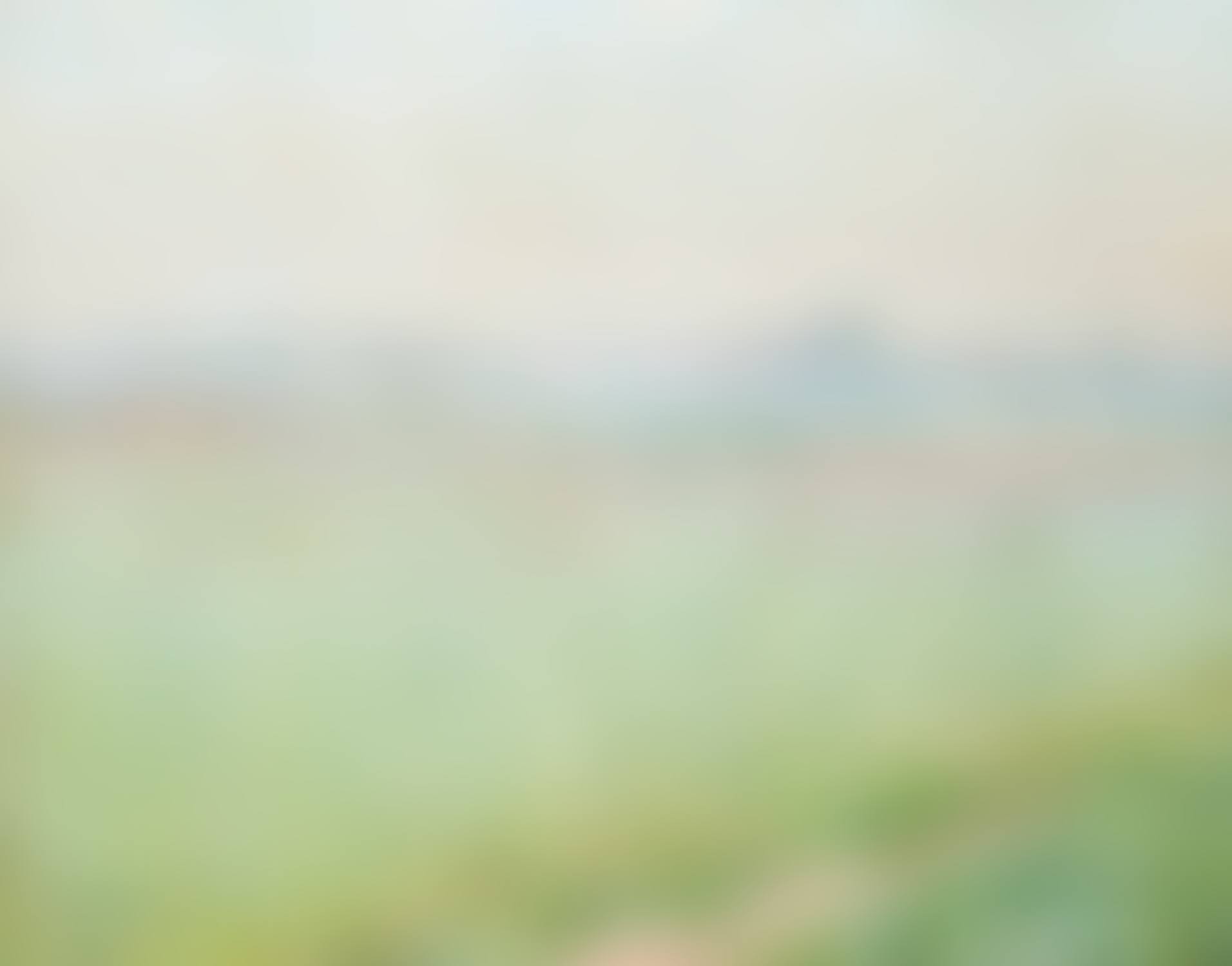 Landscape in May (1911) (preview)