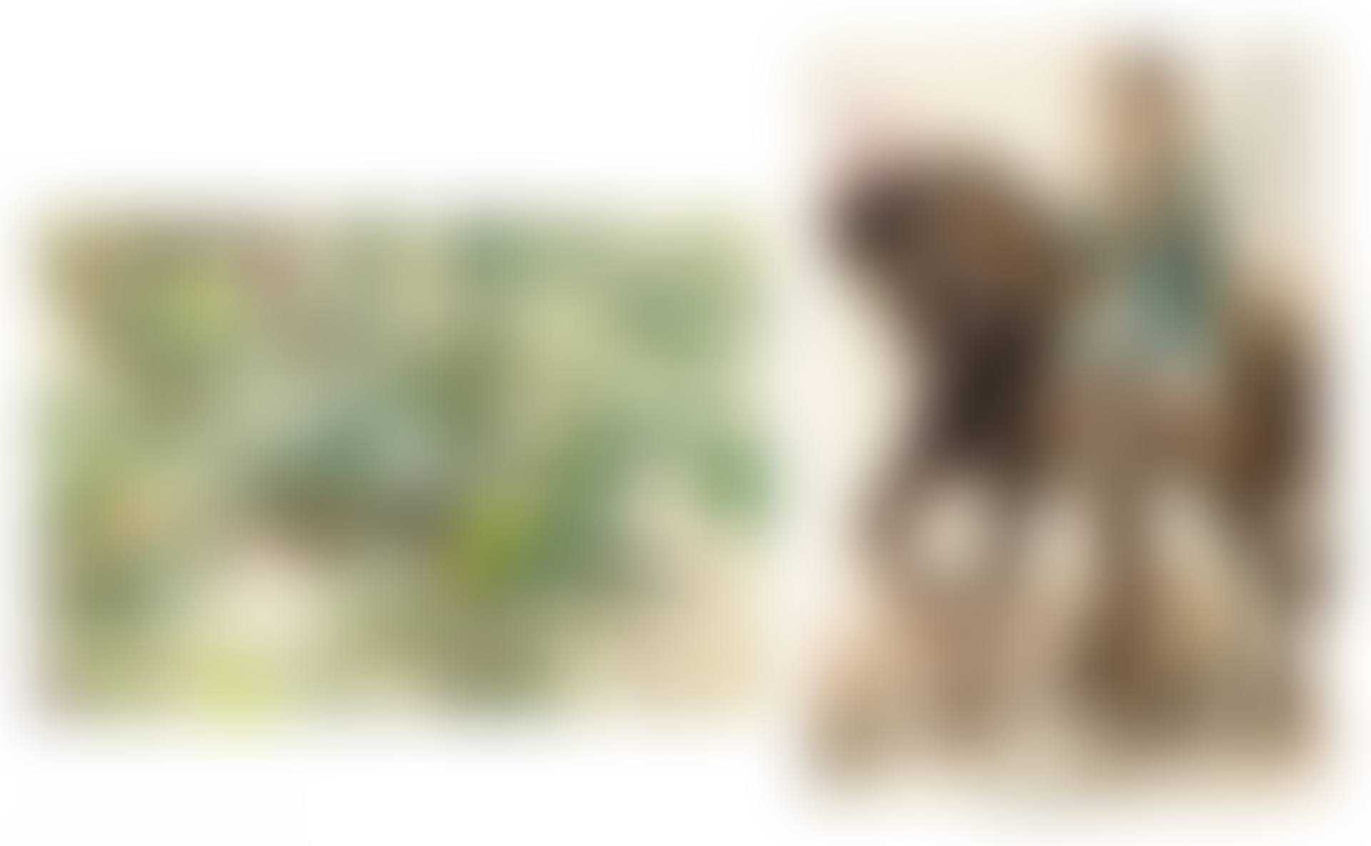 Chinese Horseman - Verso: Apple Tree (preview)