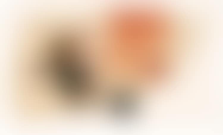 OHNE TITEL (preview)