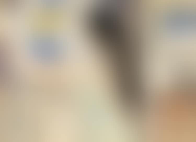 FEMME DEVANT LA FENÊTRE (preview)