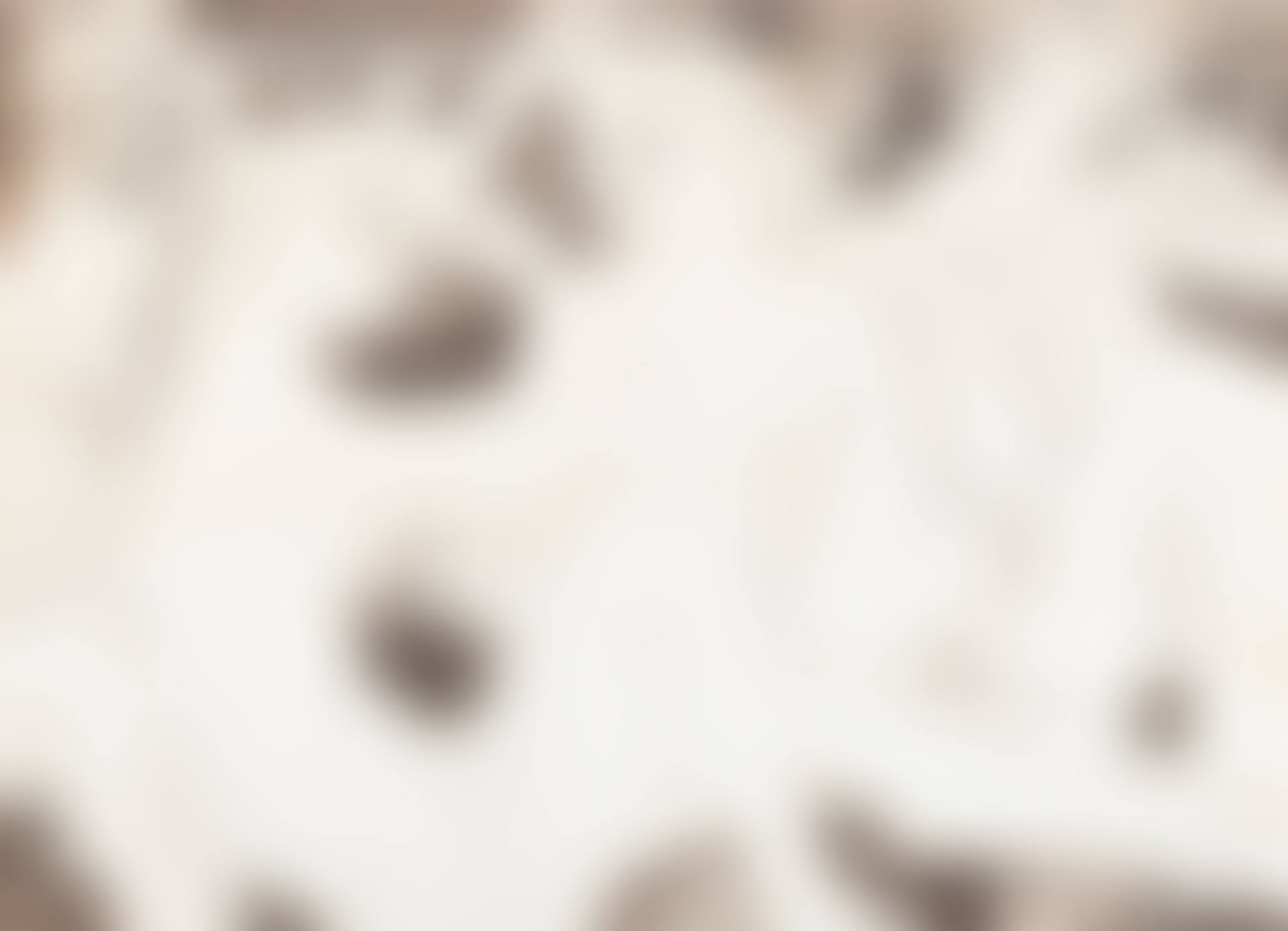 Les courtisanes (preview)